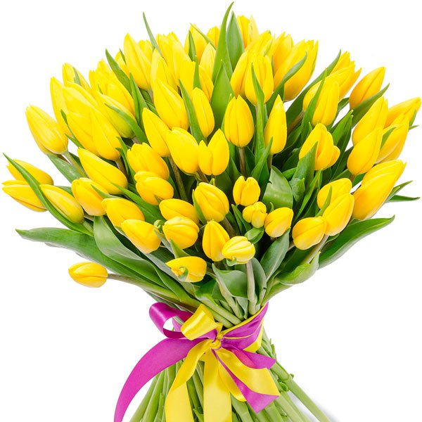 Элитные желтые тюльпаны