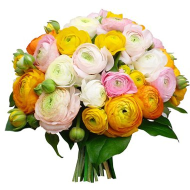 экзотические цветы купить в Тюмени, фото 31