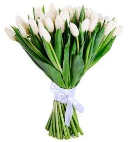 Элитный белый тюльпан 50-60 см